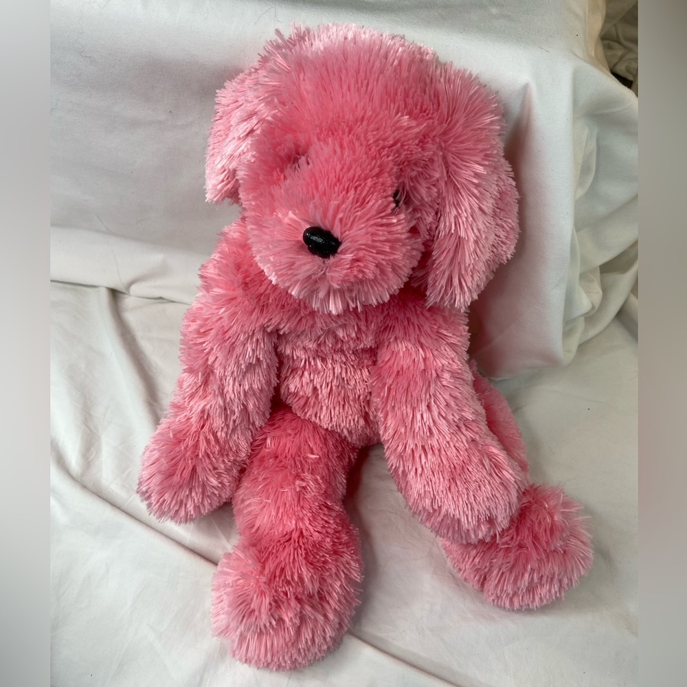 Bright Pink Stuffed Teddy Bear‎ squishy Star enclosed 18"